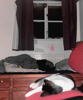 Windowsill