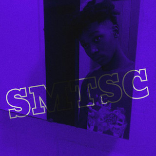 Slv cover
