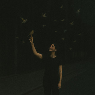 talking to birds poster