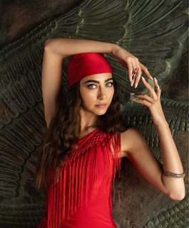 Dana Salah poster
