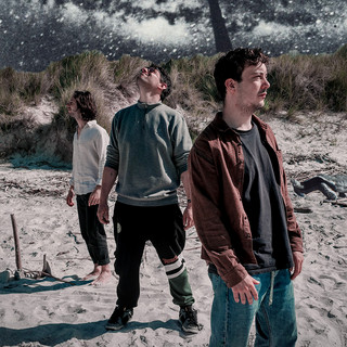 Cromosauri