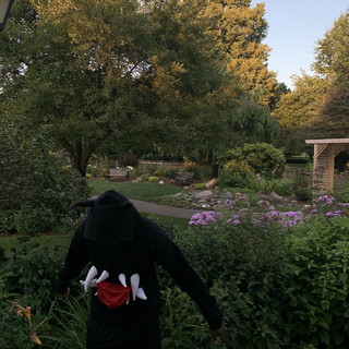 Anti