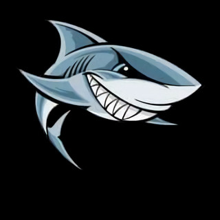 DJ Shark