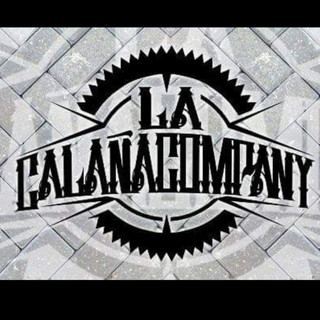 La Calamar Photo