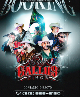 Gallos finos