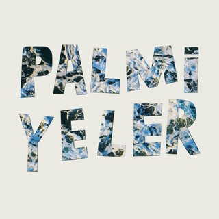 Palmiyeler