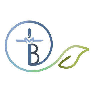 Tierra de bendición poster