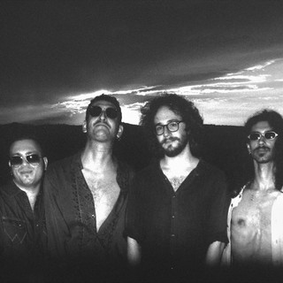 The Rootworkers
