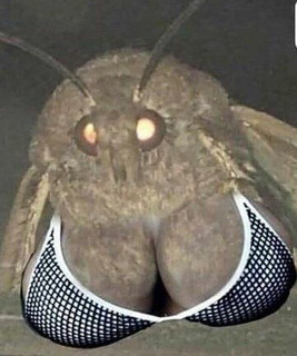 M0THRA