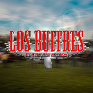 Los Buitres De Culiacan Sinaloa