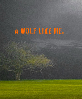 A Wolf Like Me