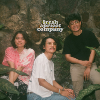 Fresh Apricot Company