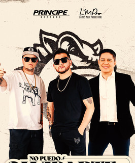 Los Perros Chatos