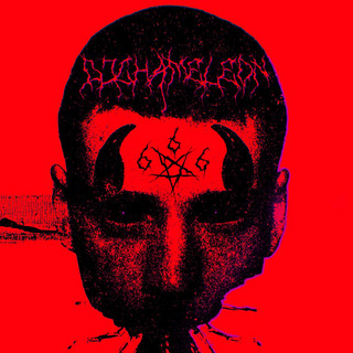 DJ CHAMELEON 666
