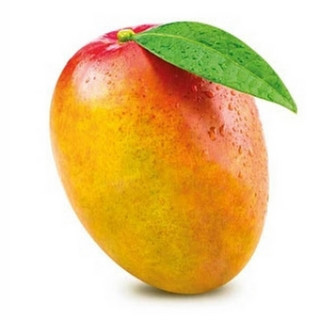 Mango1320