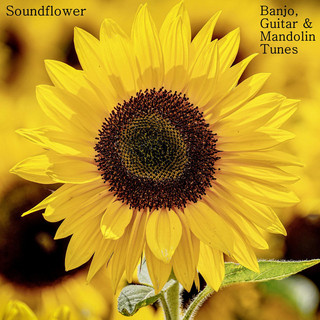 Soundflower