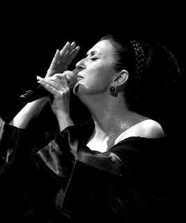 Melihat Gülses artist photo