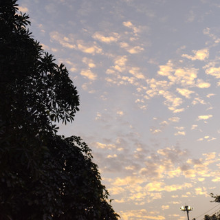 Uprising Sachin poster