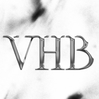 Vice Home Boyz