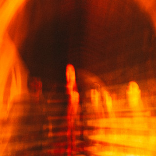 Octopus Land Photo