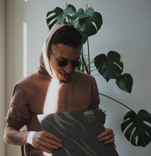 Palms Palms cover