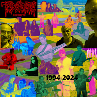Toxodeth Projects