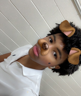 trezi