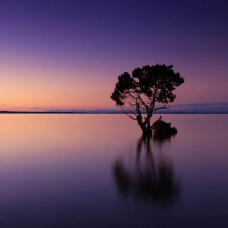 Positively Lovely Photo