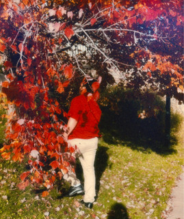 Jacasso