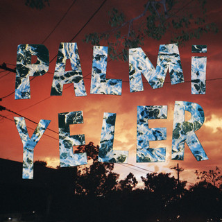 Palmiyeler