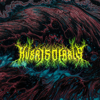 Hubris Debris poster