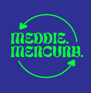 Meddie Mercury cover