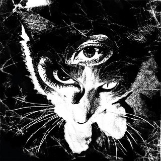 東京酒吐座(Tokyo Shoegazer) artist photo