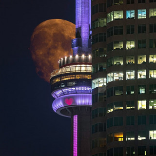 Imagen de champagnepapi