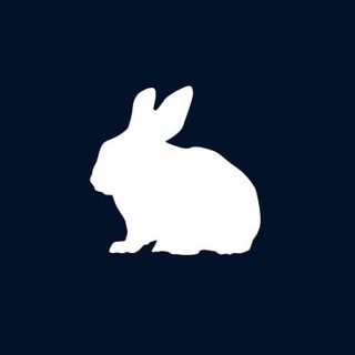 Bon Bon: The Rabbit