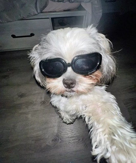 Zøgrek
