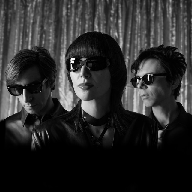Yeah Yeah Yeahs image