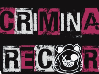 Criminal Record