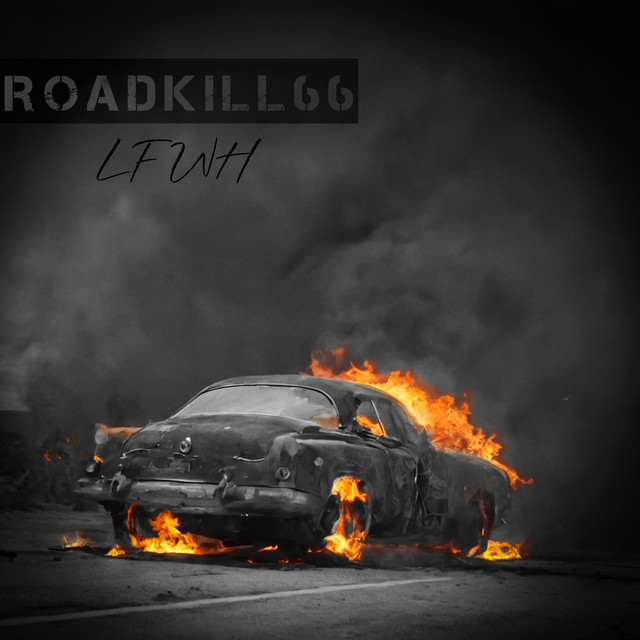Roadkill 66