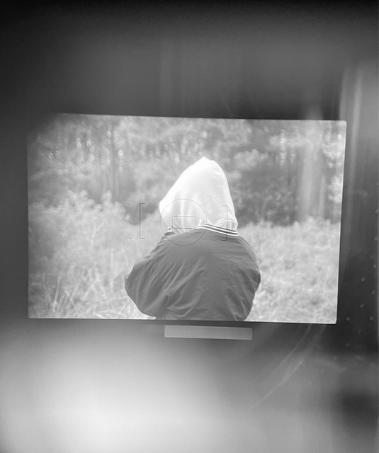 Max Wilman