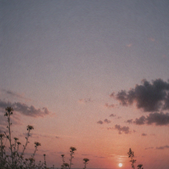 Miles Coast