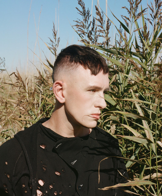 Patrick Wolf image