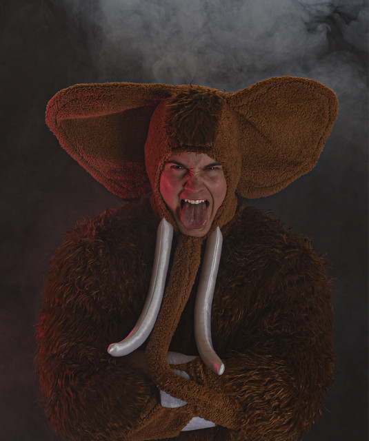 Mammoth Raw