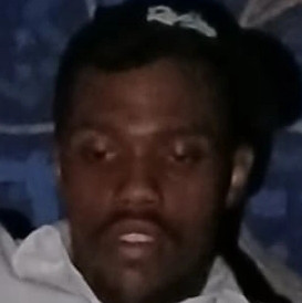 Lee M