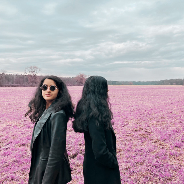 Record Pink | Spotify