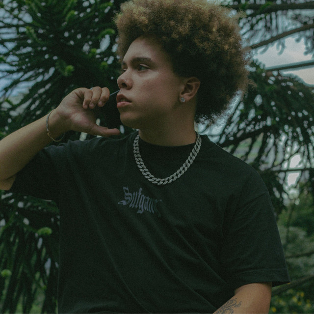 Falk | Spotify