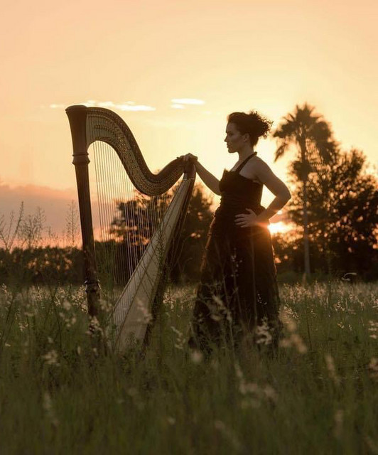 Mad Harpist
