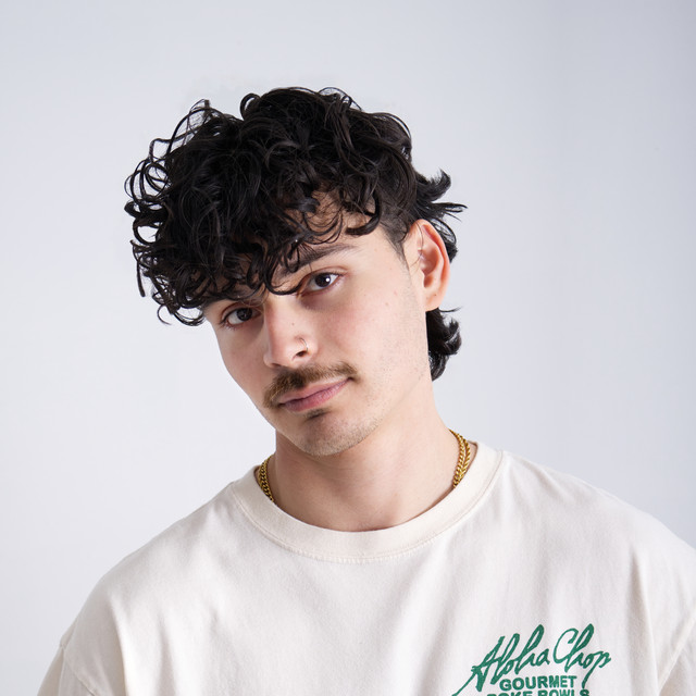NDRS artist photo