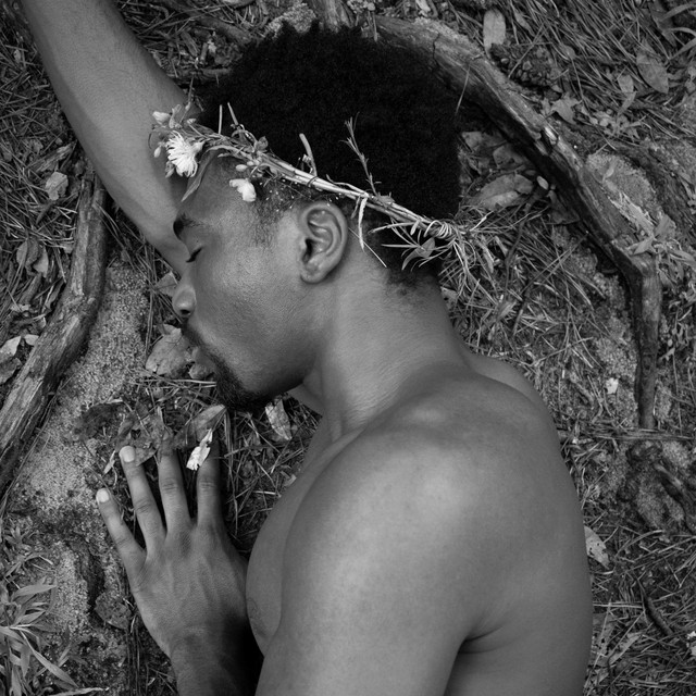 DARVIN | Spotify
