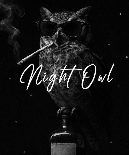 Night Owl image